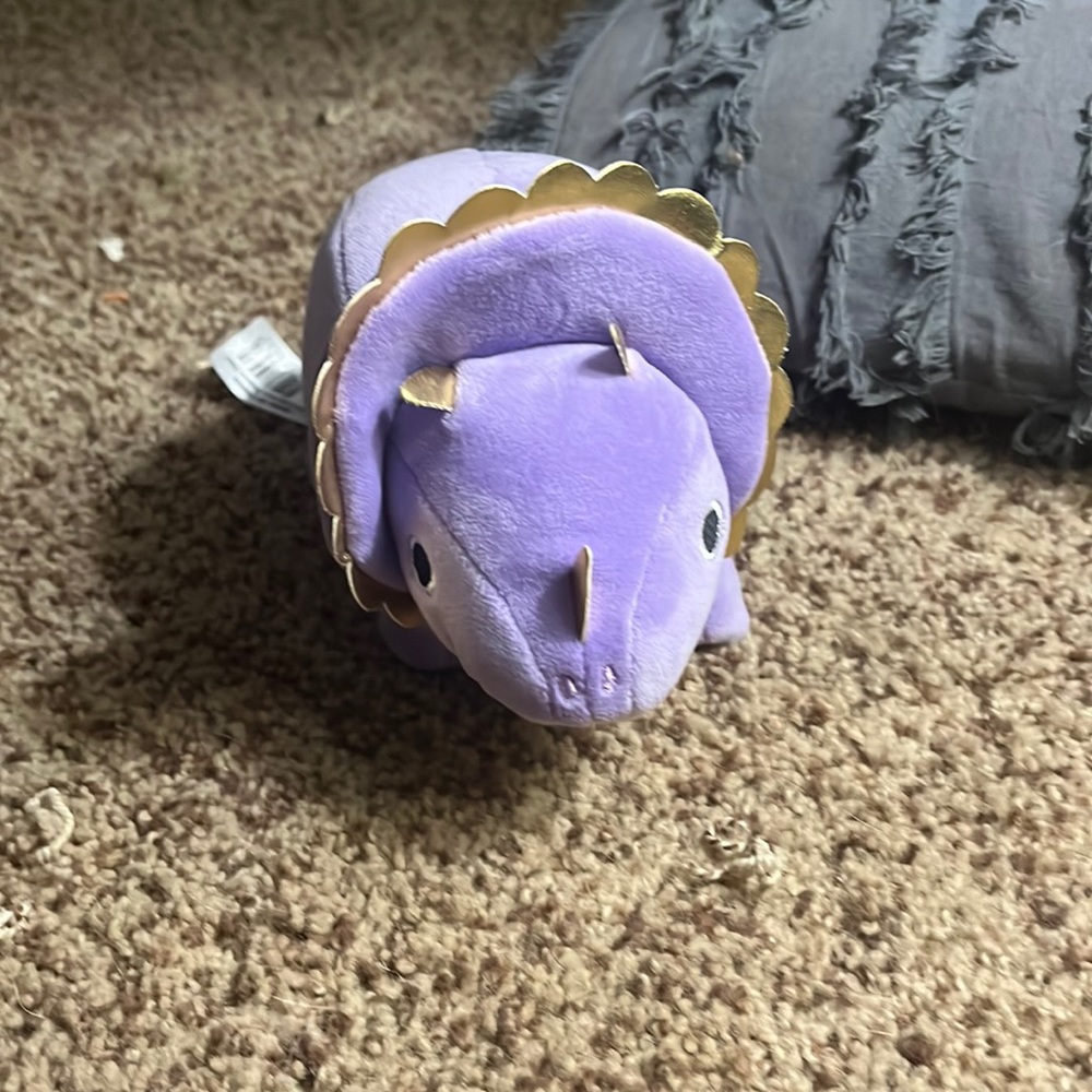 Small dinosaur plushie. Won at an arcade.